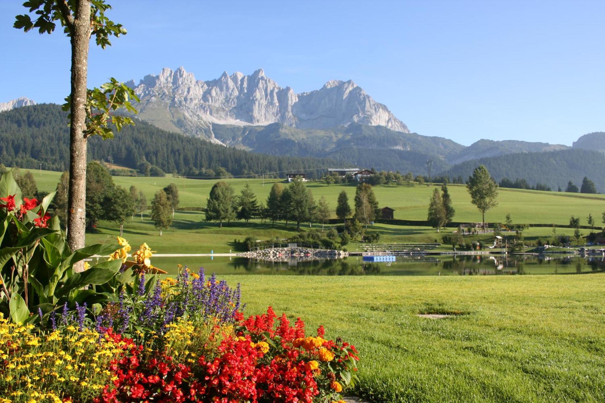Appartement Claudia Going am Wilden Kaiser Exterior photo